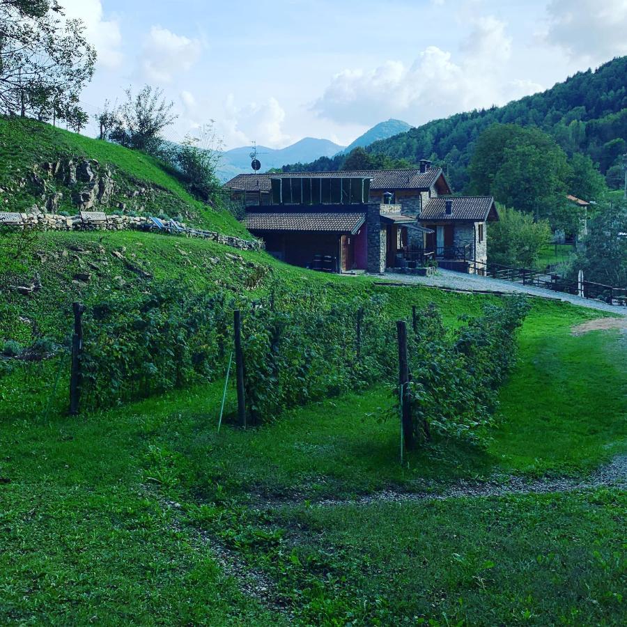 Agriturismo Il Talento Nella Quiete Castiglione d'Intelvi Exterior photo