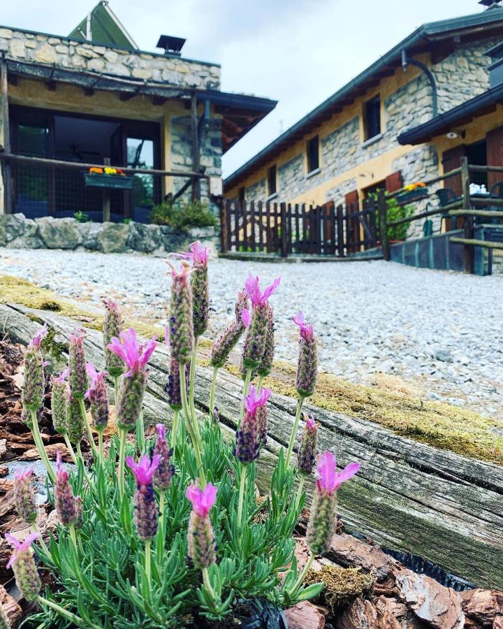 Agriturismo Il Talento Nella Quiete Castiglione d'Intelvi Exterior photo