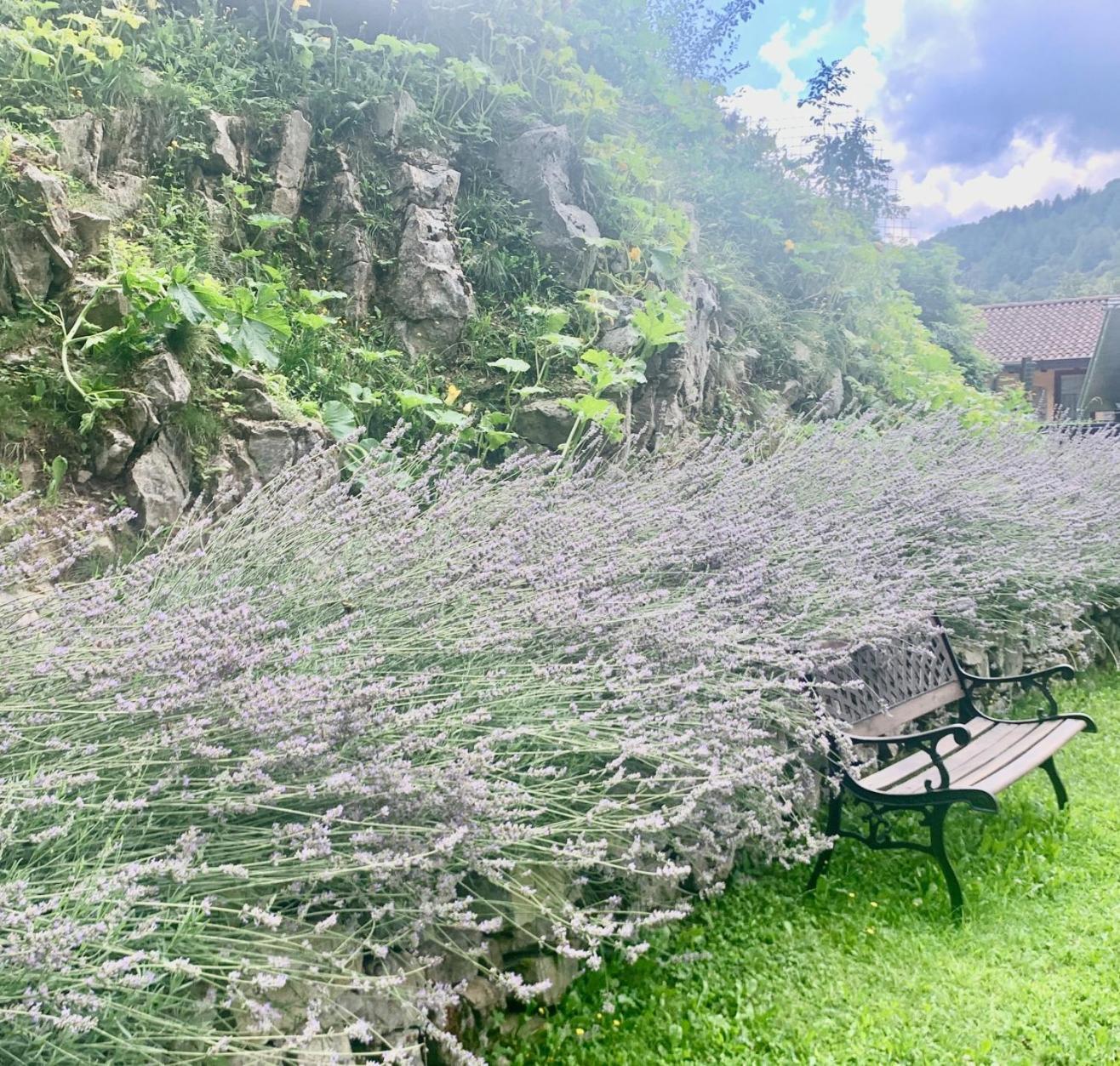 Agriturismo Il Talento Nella Quiete Castiglione d'Intelvi Exterior photo